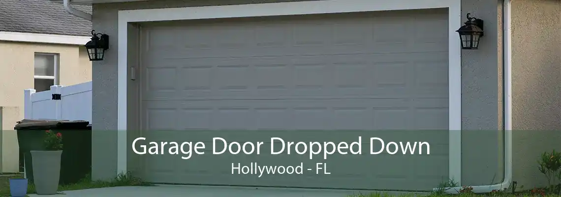 Garage Door Dropped Down Hollywood - FL