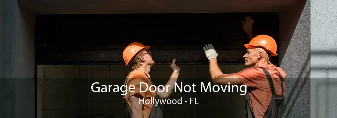 Garage Door Not Moving Hollywood - FL